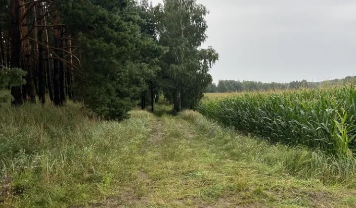 Działka rolna Ludowice