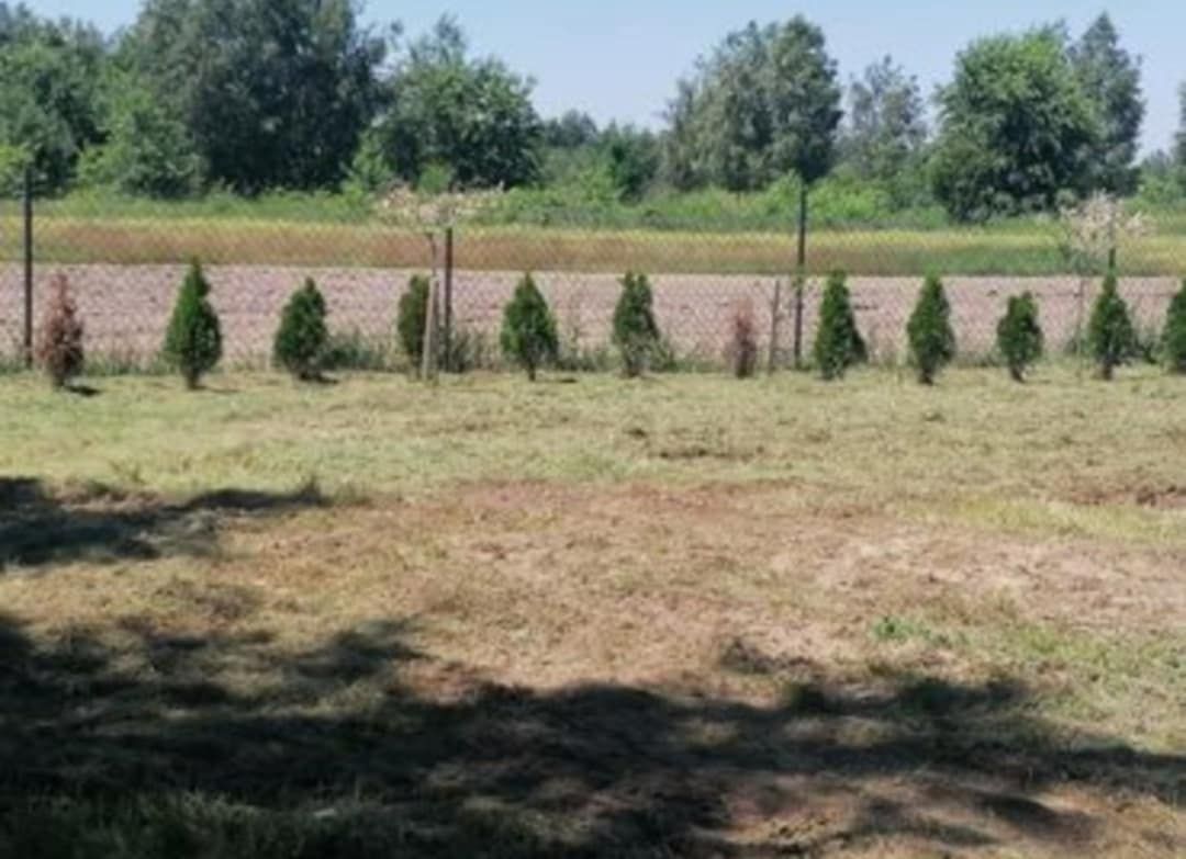 Działka budowlana Lasowice. Zdjęcie 9