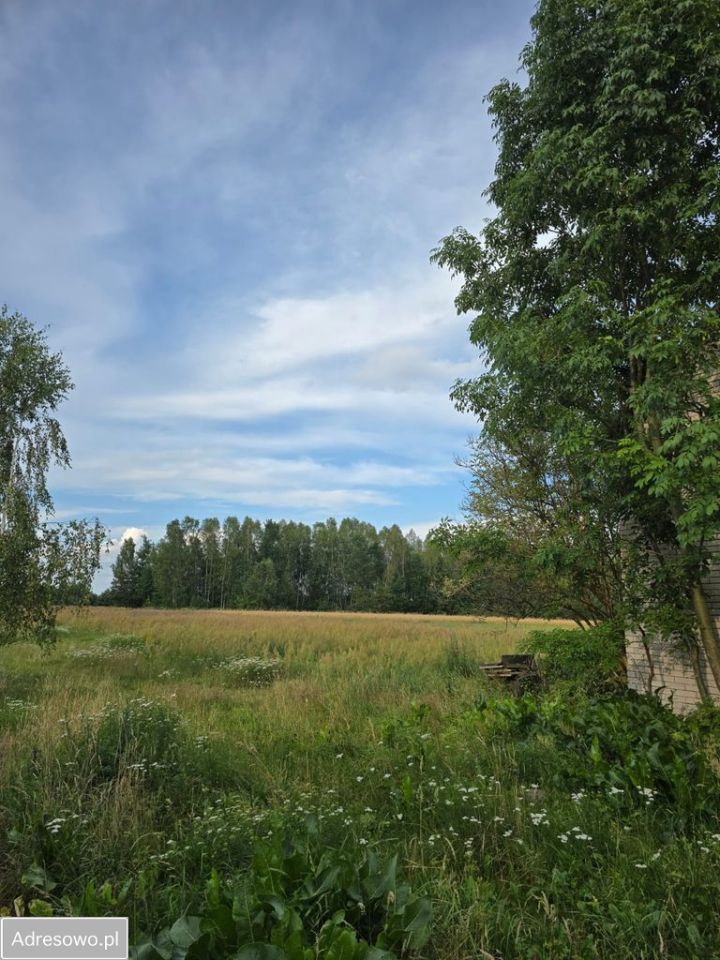 Działka rolna Wola Brudnowska. Zdjęcie 6