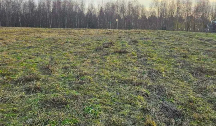 Działka rekreacyjna Bonarówka