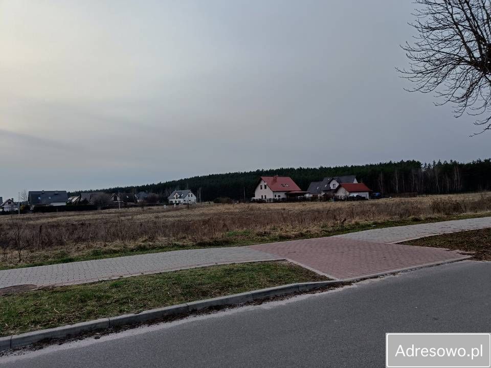 Działka inwestycyjna Siedlisko, ul. Kasztanowa. Zdjęcie 8