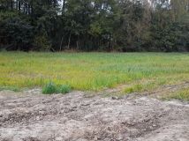 Działka rolno-budowlana Łódź Bałuty, ul. Kąkolowa. Zdjęcie 2