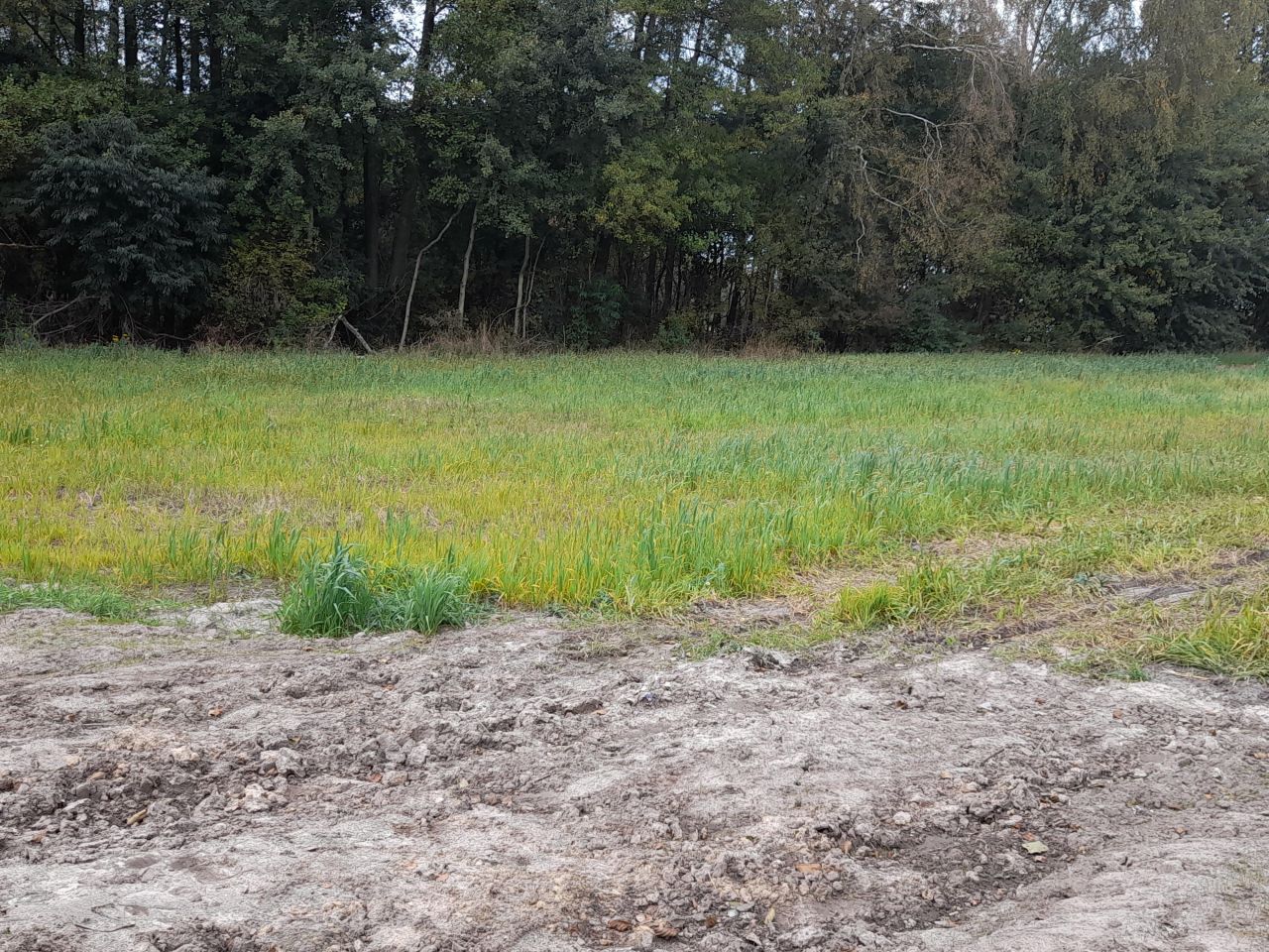 Działka rolno-budowlana Łódź Bałuty, ul. Kąkolowa. Zdjęcie 3