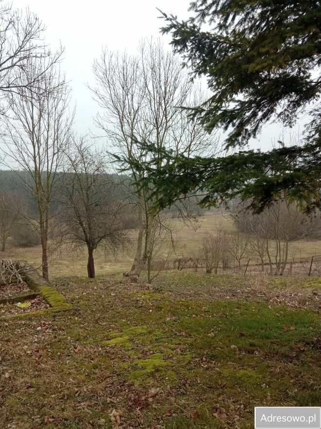 dom wolnostojący, 3 pokoje Brzeźno. Zdjęcie 3