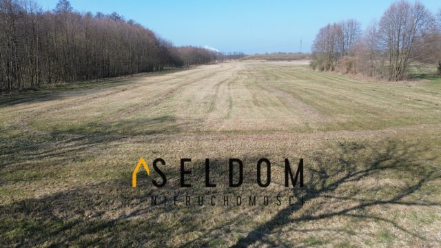 Działka budowlana Licheń Stary. Zdjęcie 6