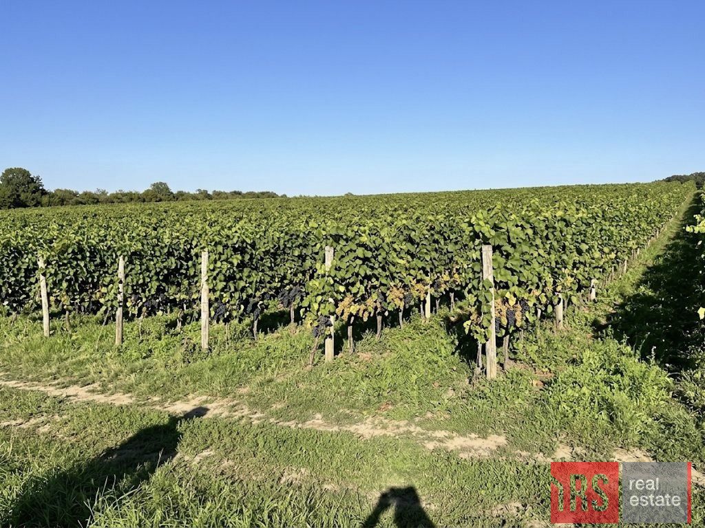 dom wolnostojący, 3 pokoje Krosno Odrzańskie. Zdjęcie 18