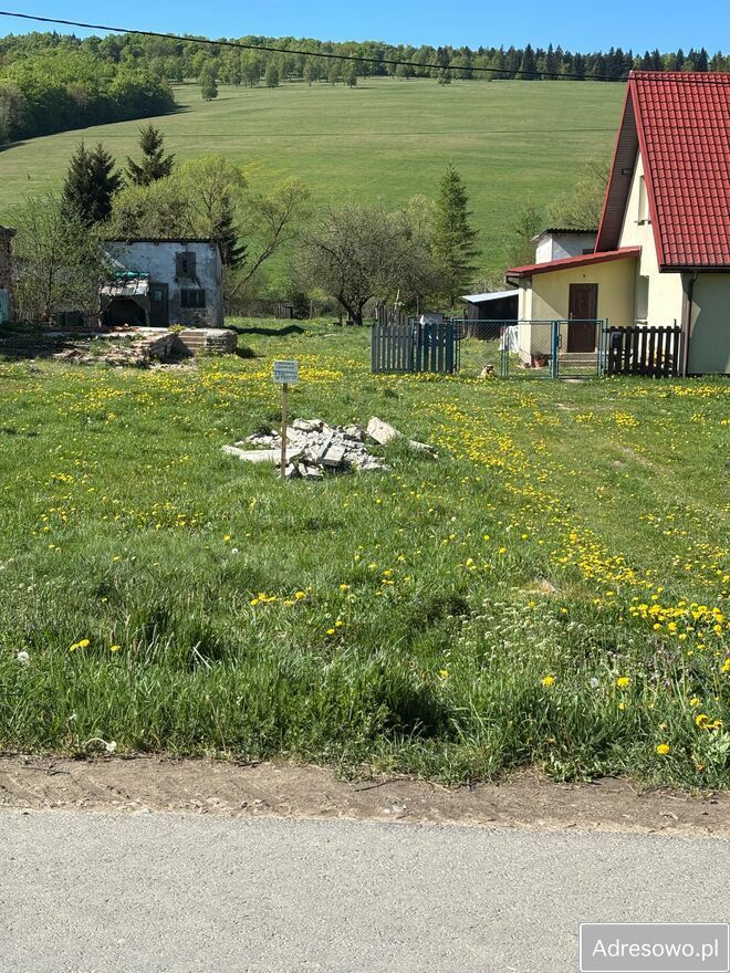 Działka budowlana Ożenna. Zdjęcie 3