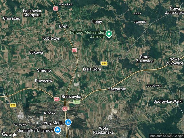 Działka inwestycyjna Lisia Góra. Zdjęcie 1