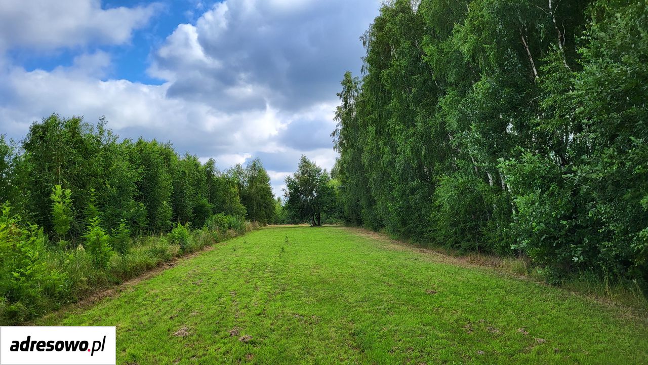 dom wolnostojący, 4 pokoje Zaborowie. Zdjęcie 5