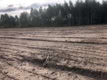 Działka rolna Kamienica. Zdjęcie 4