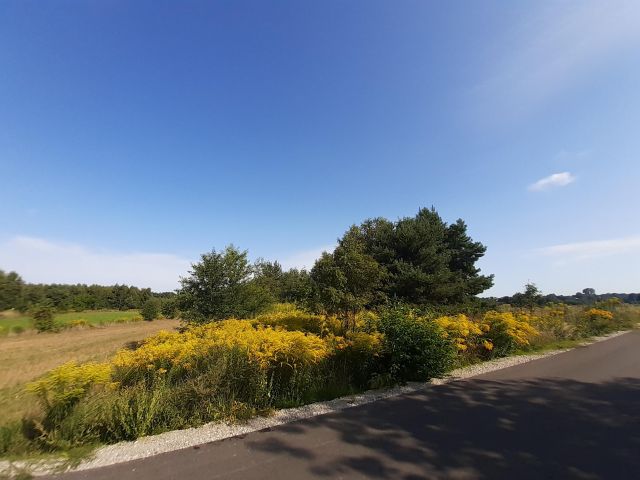 Działka rolna Kiełmina. Zdjęcie 1