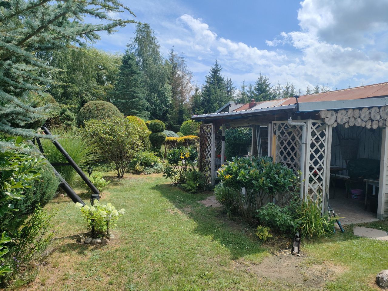 Działka rolna Wiechowo. Zdjęcie 6