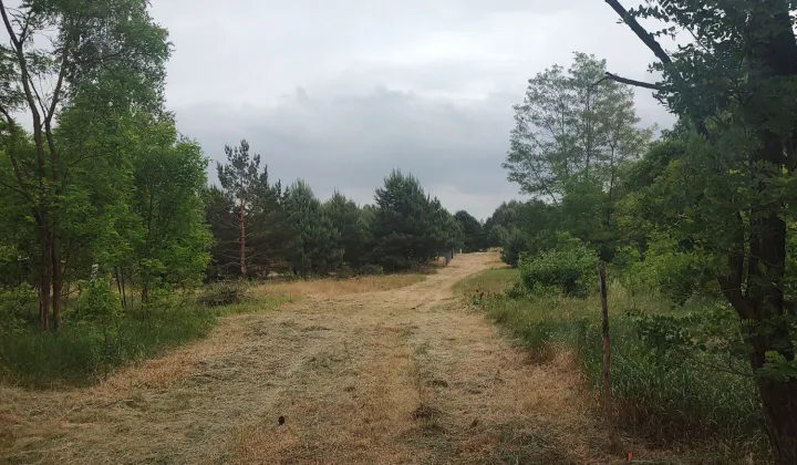 Działka budowlana Stare Orzechowo