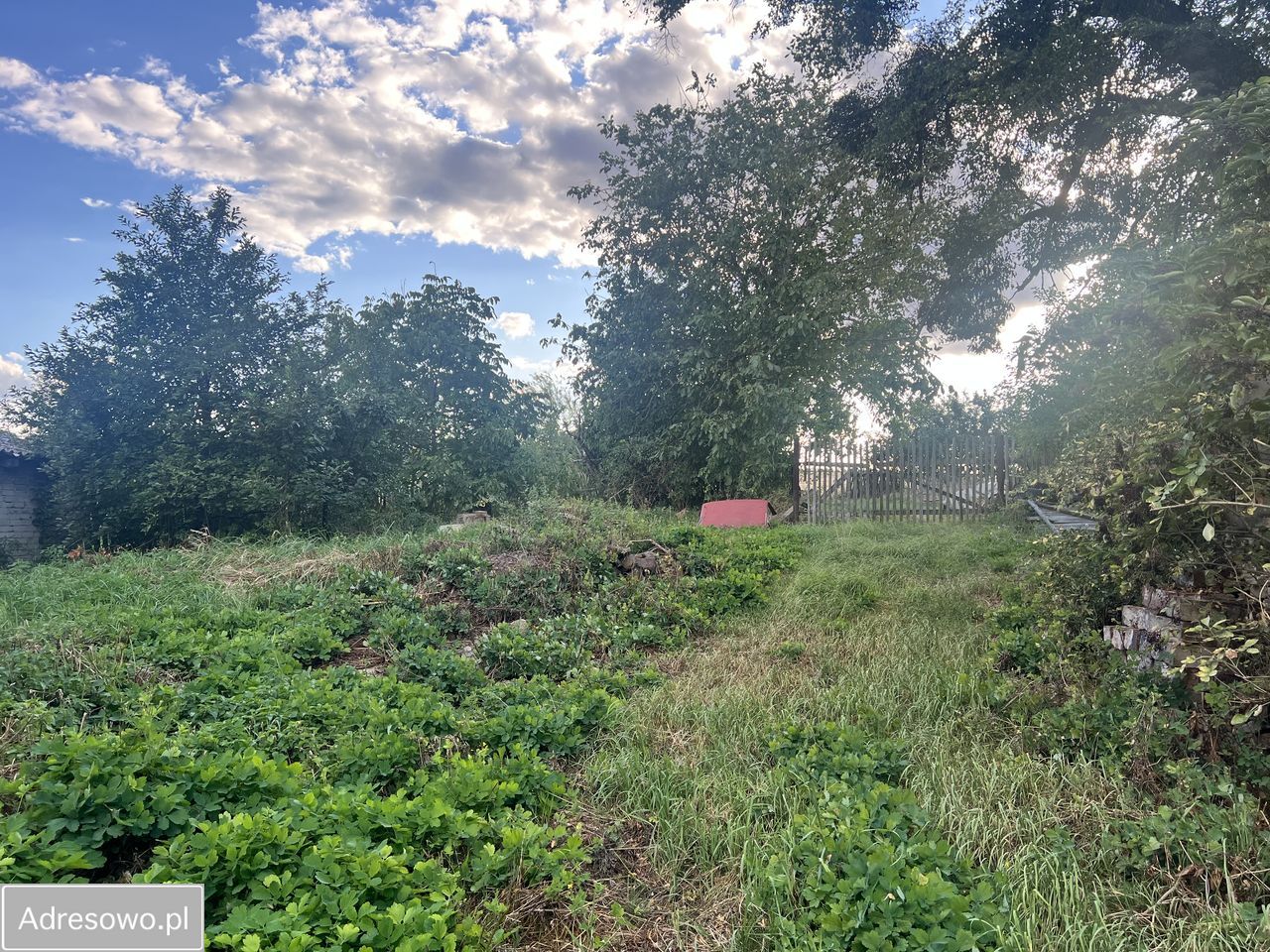 Działka Goła. Zdjęcie 2