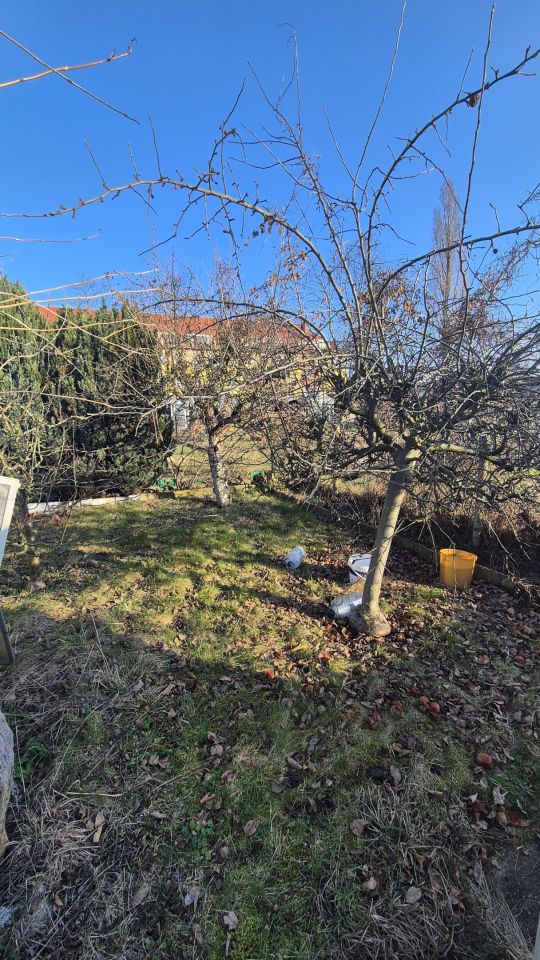 Działka rekreacyjna Kostrzyn nad Odrą Osiedle Leśne, ul. Sportowa. Zdjęcie 6