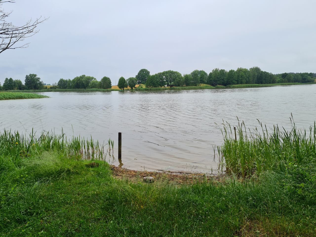 Działka inwestycyjna Wieliczki, ul. Letniskowa. Zdjęcie 3