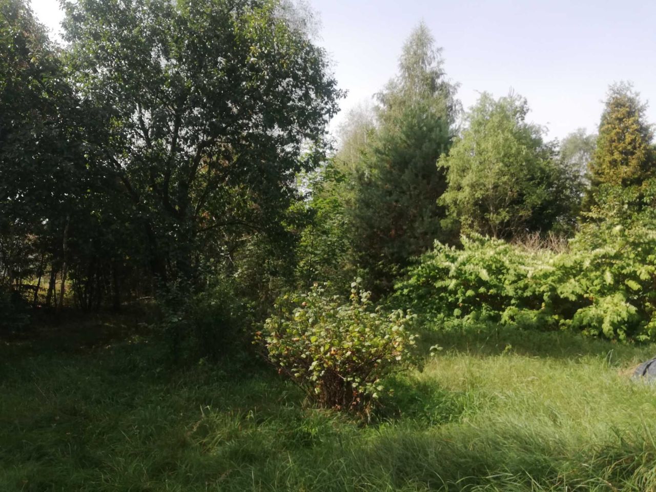 Działka budowlana Obryte. Zdjęcie 4