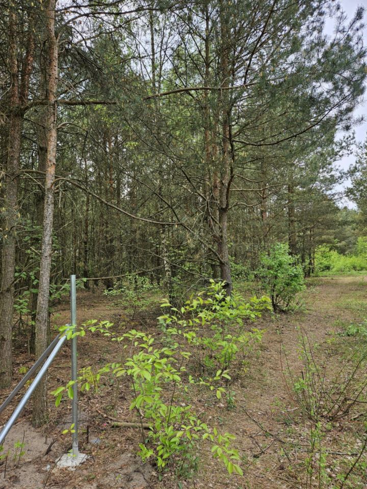 Działka rolno-budowlana Radziwiłłów, ul. Kota Filemona. Zdjęcie 8