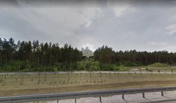 Działka leśna Kuczek