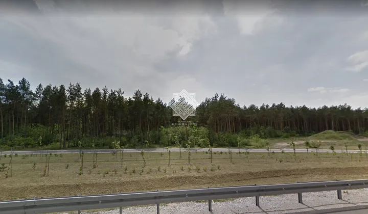 Działka leśna Kuczek