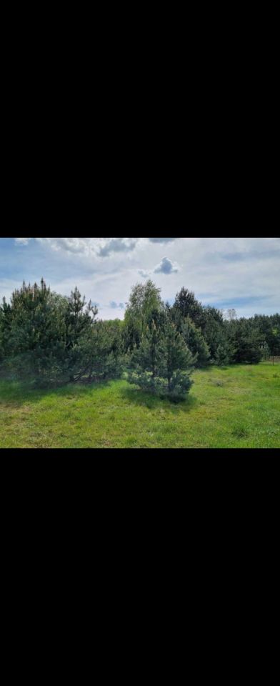 Działka budowlana Kawęczyn. Zdjęcie 6