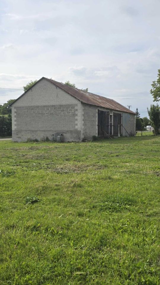 Działka siedliskowa Drogiszka. Zdjęcie 6