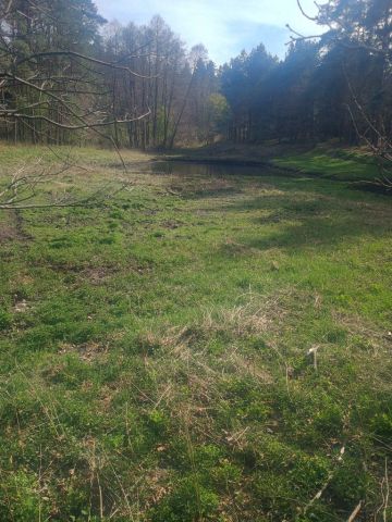 Działka rekreacyjna Grabowiec. Zdjęcie 1
