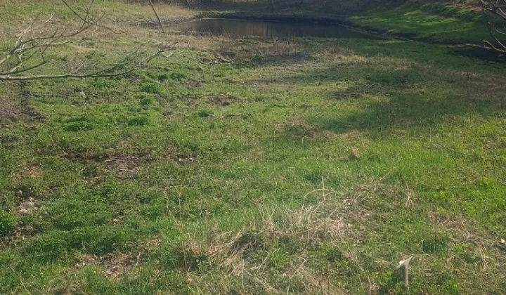 Działka rekreacyjna Grabowiec