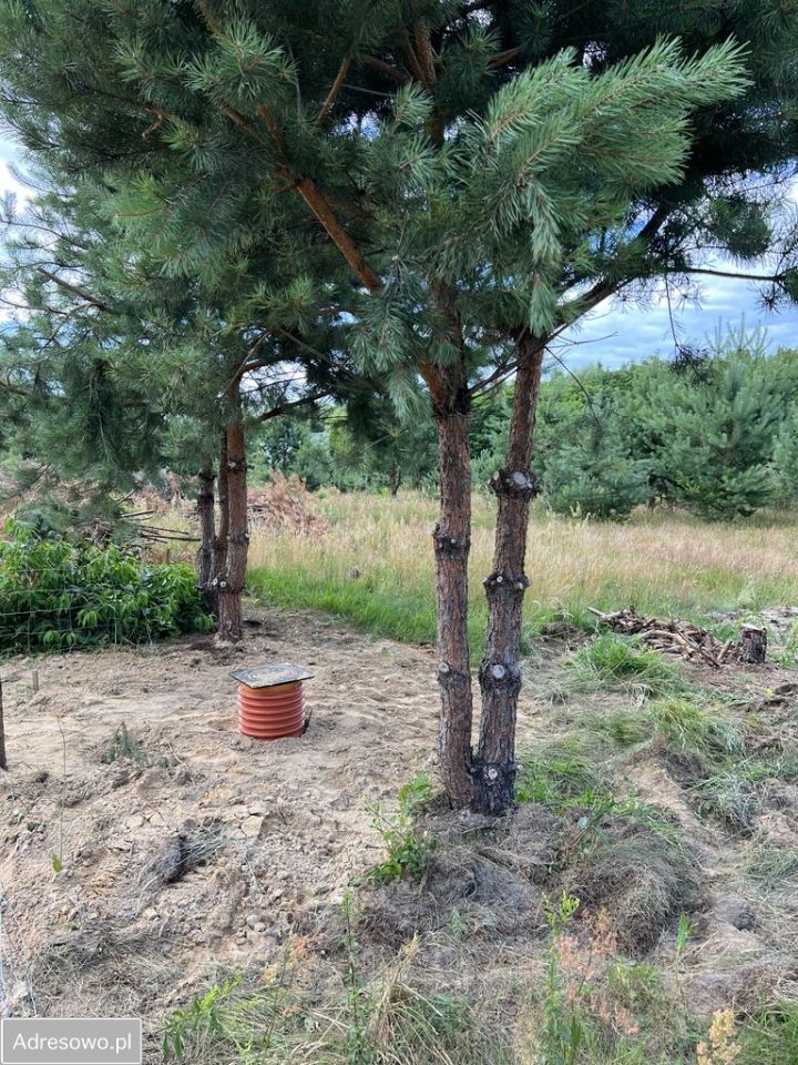 Działka inwestycyjna Koczargi Stare, ul. Jagodowa. Zdjęcie 4