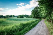 Działka budowlana Zamarski, ul. Czarne Doły. Zdjęcie 3