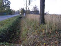 Działka rolno-budowlana Magdalenów. Zdjęcie 3