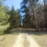 Działka budowlana Augustów Nowy Stachów, ul. Graniczna. Zdjęcie 3