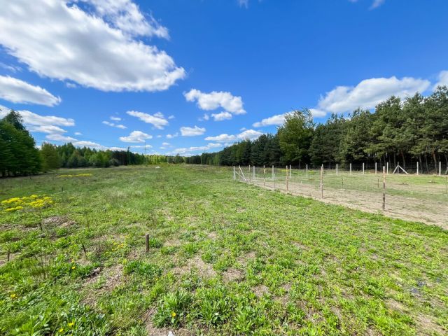 Działka budowlana Magonie. Zdjęcie 4