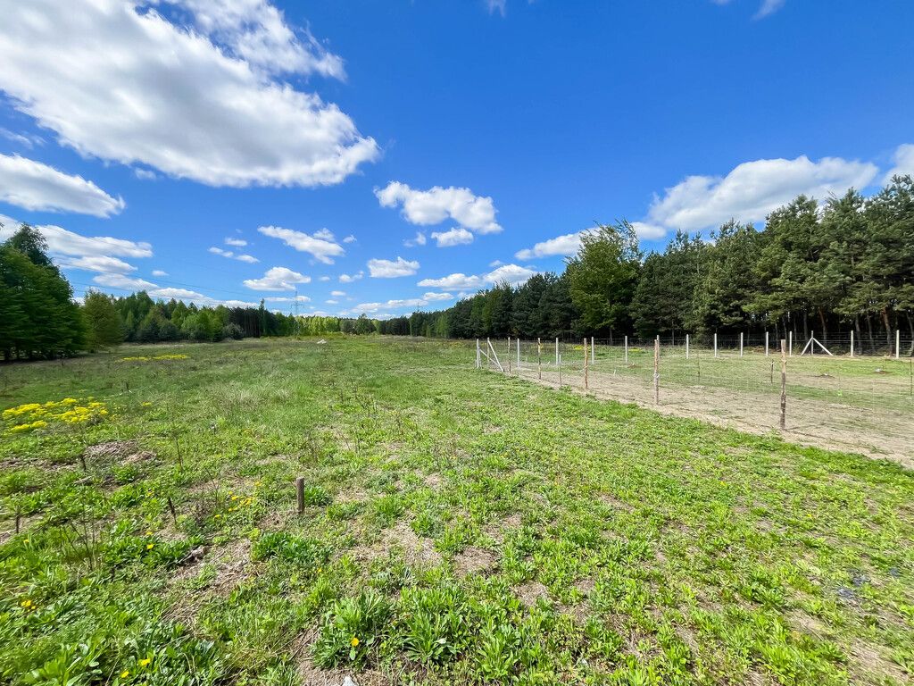 Działka budowlana Magonie. Zdjęcie 4