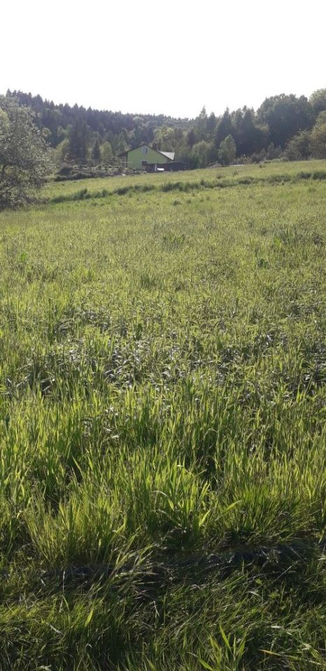 Działka rolno-budowlana Konieczkowa. Zdjęcie 3