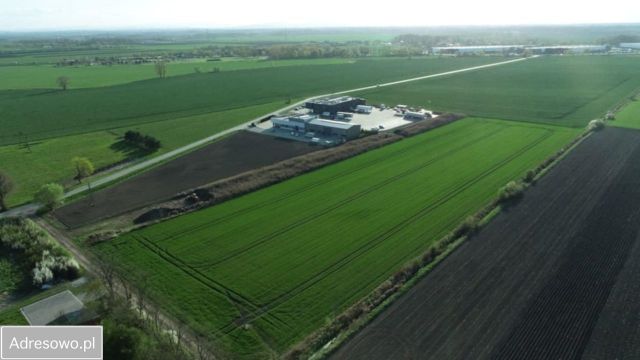 Działka rekreacyjna Milejowice. Zdjęcie 1