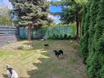 Działka rod Toruń Rudak. Zdjęcie 2