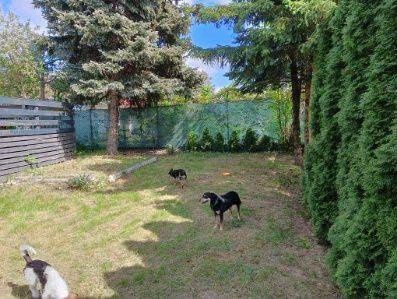 Działka rod Toruń Rudak. Zdjęcie 3