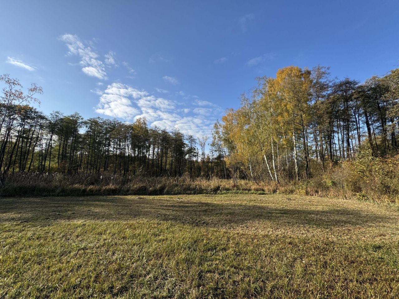 Działka budowlana Budy Ciepielińskie. Zdjęcie 2