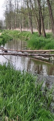 Działka rolna Młynarze. Zdjęcie 1