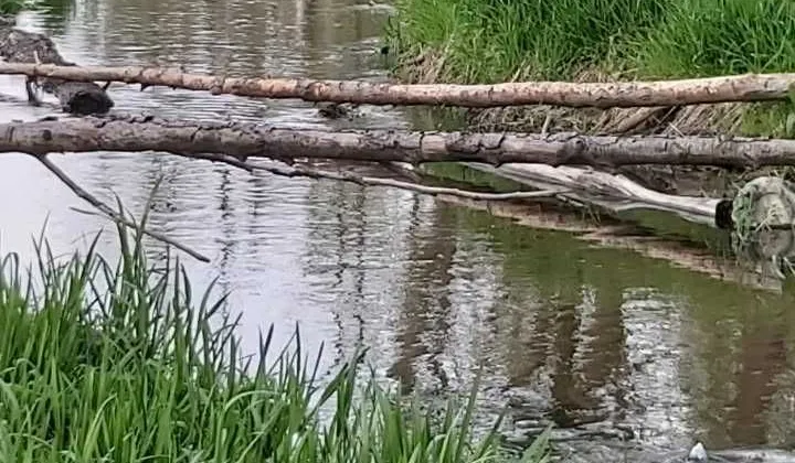 Działka rolna Młynarze