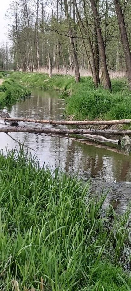 Działka rolna Młynarze