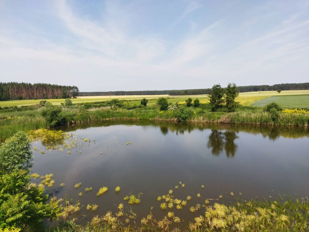 Działka budowlana Nowa Jabłona. Zdjęcie 8