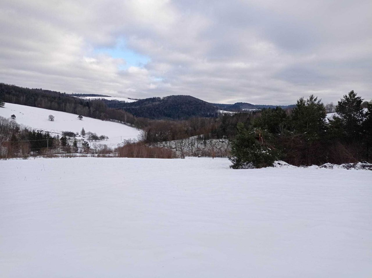Działka rolna Brzuska. Zdjęcie 6