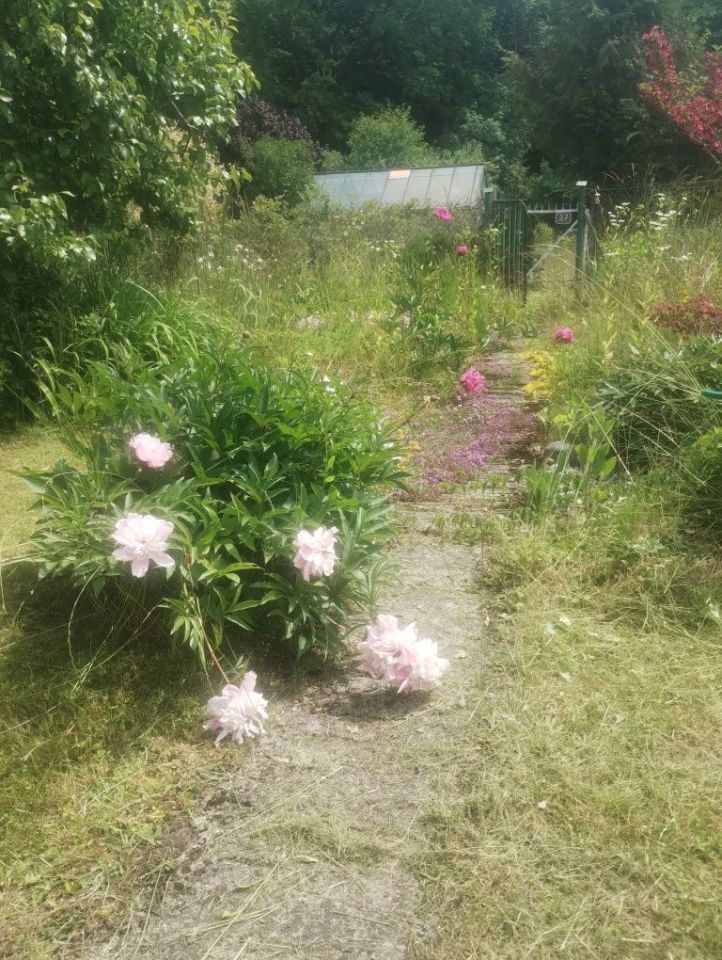 Działka rod Niekłonice. Zdjęcie 7