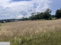 Działka rolno-budowlana Jeleń. Zdjęcie 1