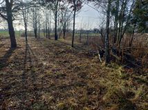 Działka budowlana Charlęż