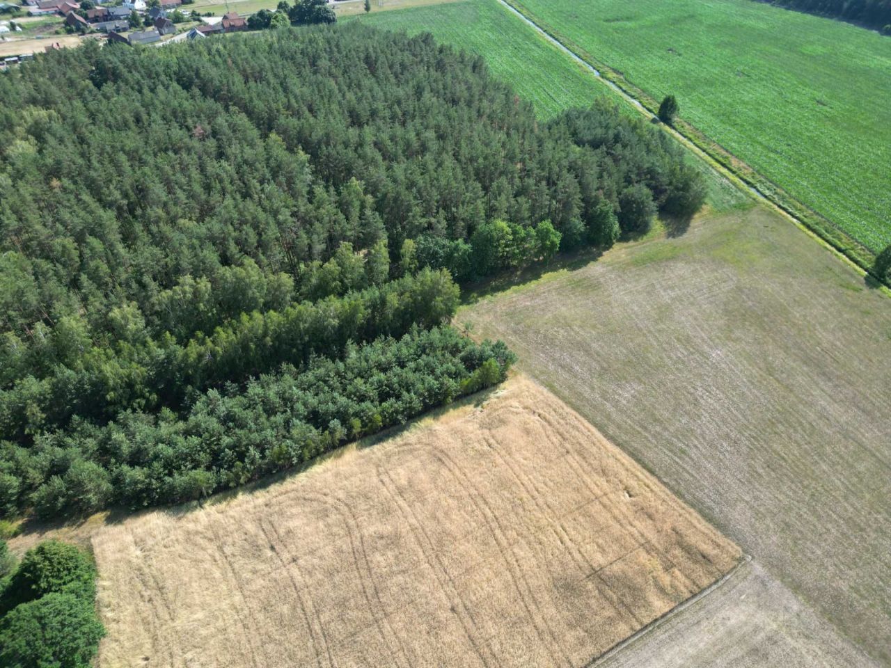 Działka budowlana Jerominy. Zdjęcie 5