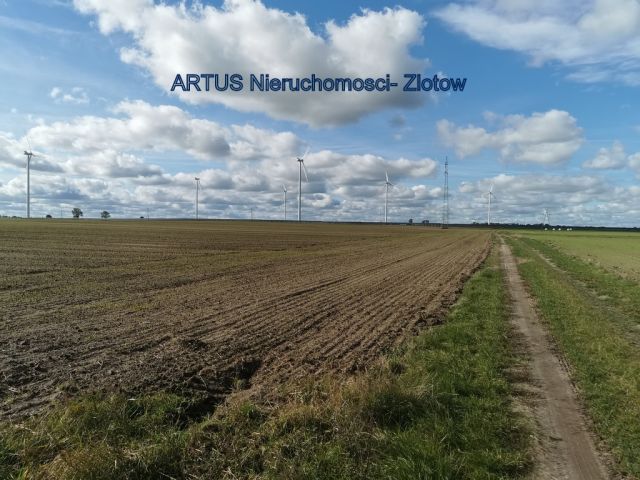 Działka inwestycyjna Blękwit. Zdjęcie 5