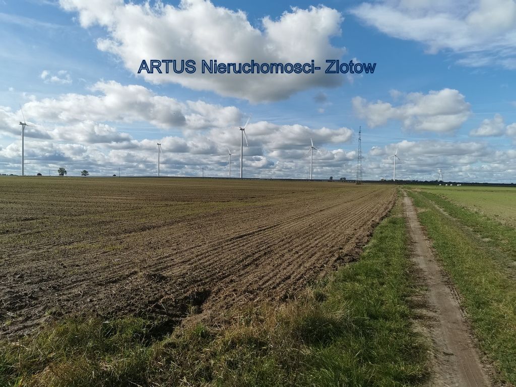 Działka inwestycyjna Blękwit. Zdjęcie 5